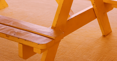 WCCA 会员服务 Member Service