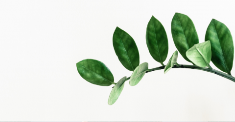 WCCA 董事会 Directors