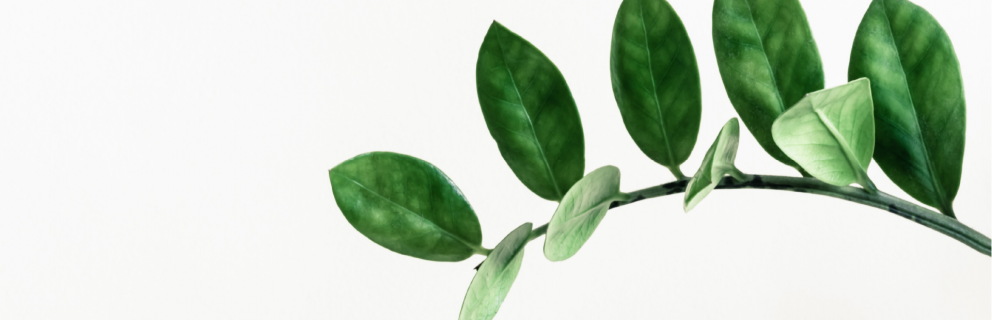 WCCA 董事会 Directors