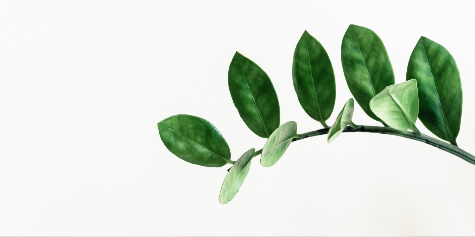 WCCA 董事会 Directors