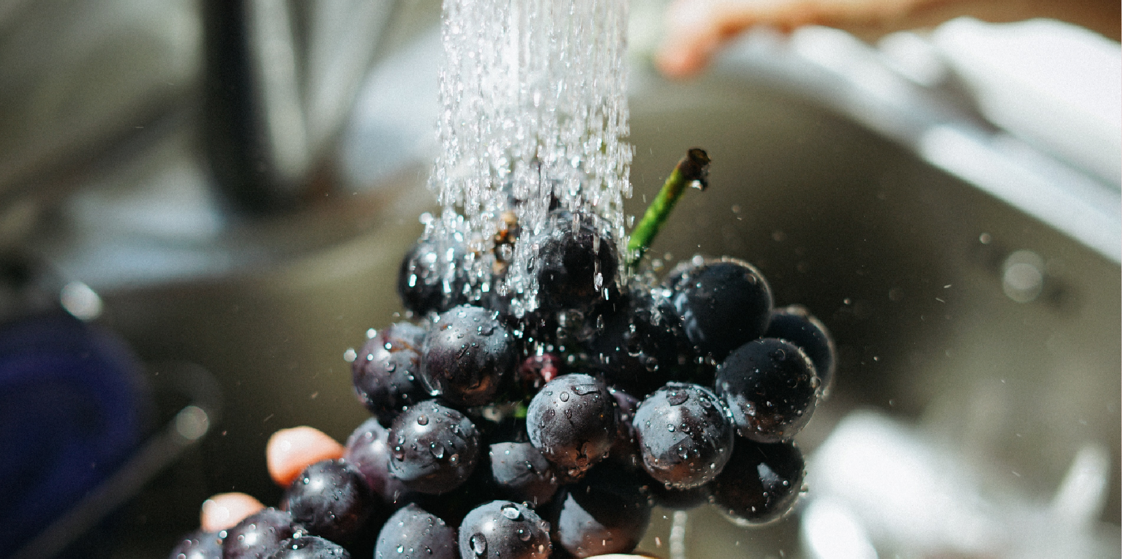 WCCA 健康委员会 Health Committee